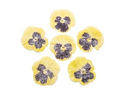 Засахаренный Обезвоженный съедобный цветок "Желтый тигр" 6 шт